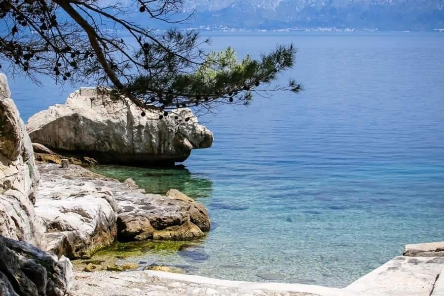 Апартаменты Petar Трпань Экстерьер фото